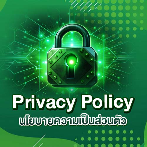 นโยบายความเป็นส่วนตัว